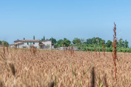 Light Lunch in Wine Resort: L’Aperitivo Creativo Vista Lago a Lazise 14